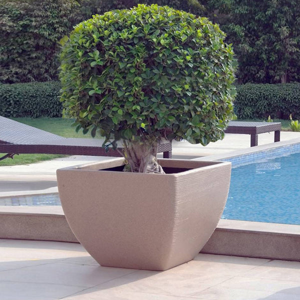 Medium Planters