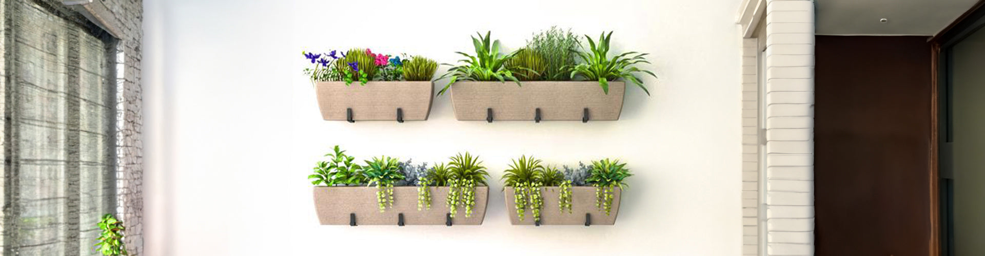 Picture of Buy Wall Hanging Planters Online – Stylish and Space-Saving
