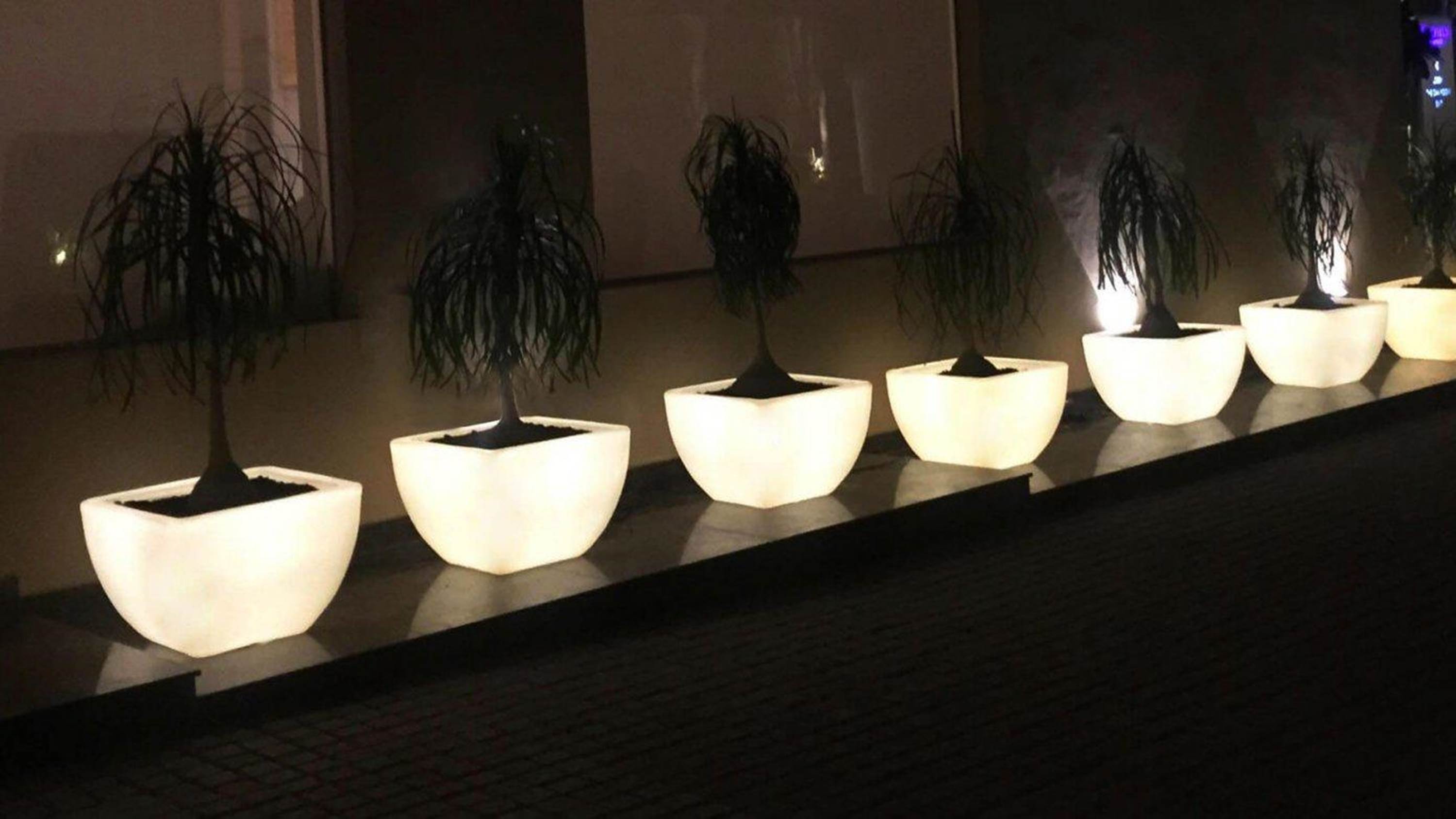 Square LED Planter