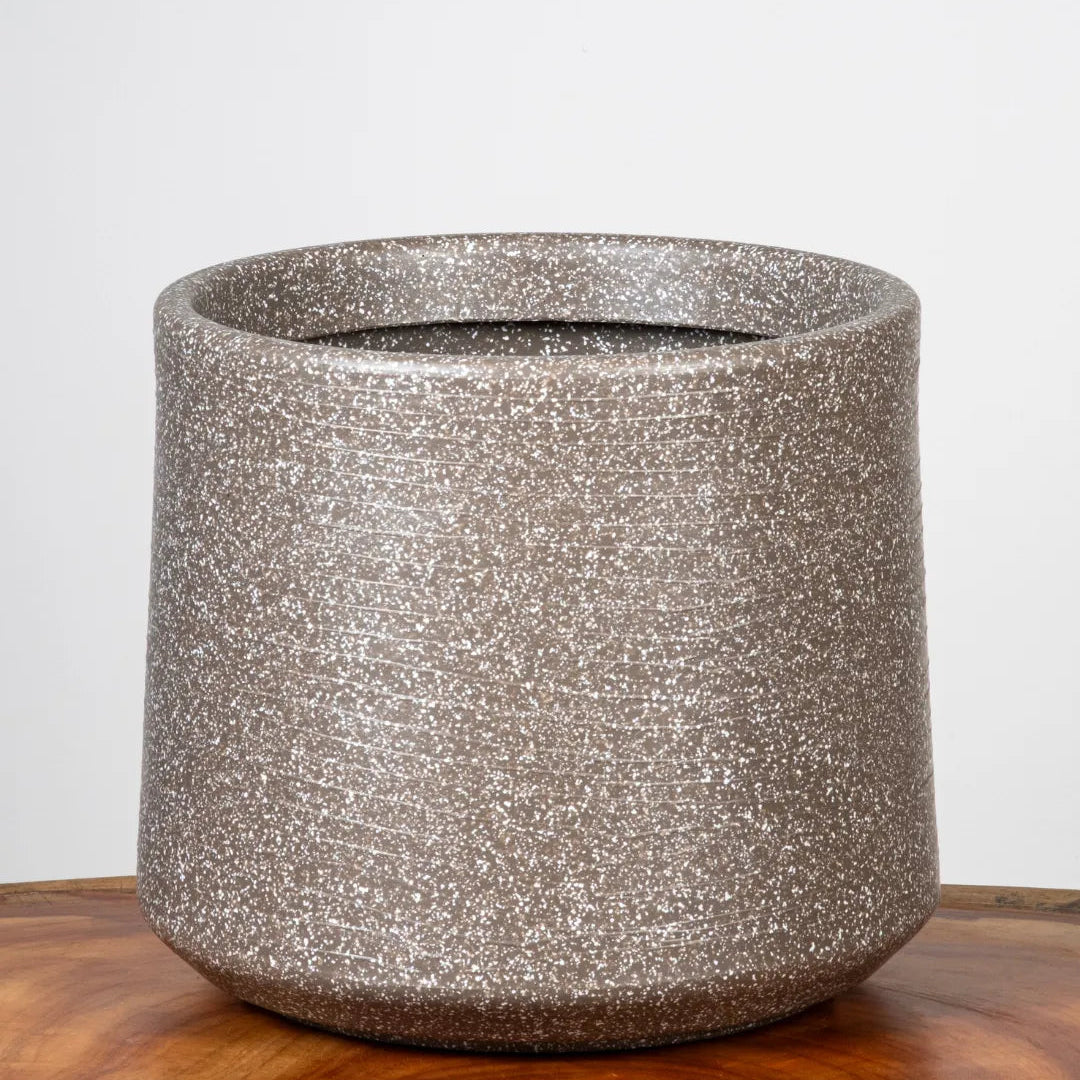 Single | Dholpur Beige