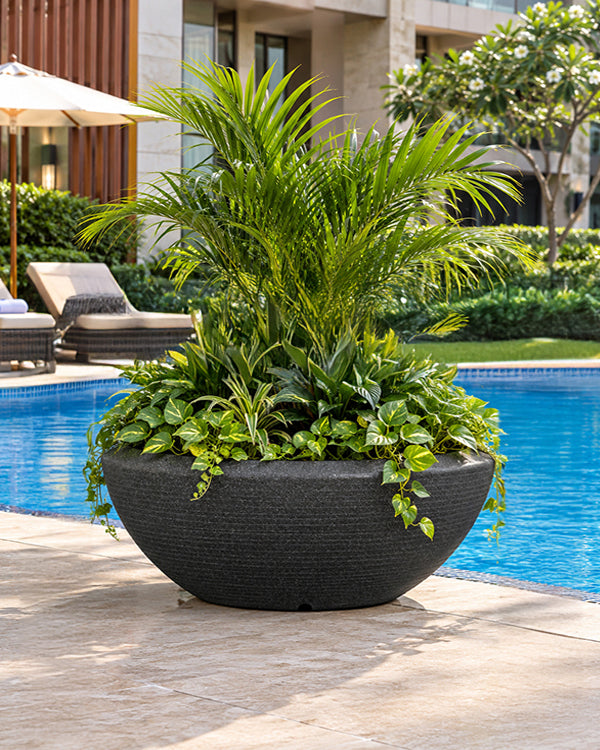 Bassa 9236 Lava Black