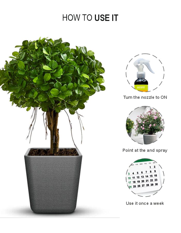 Sereno Accessories Flower Boost Spray