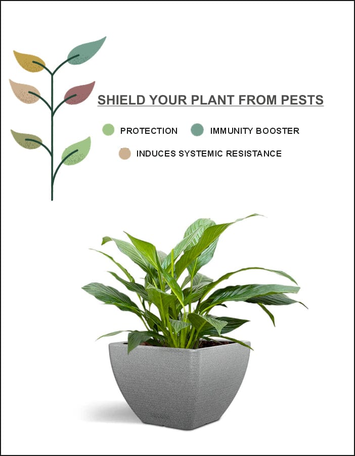 Sereno Accessories Natural Plant Protection Spray