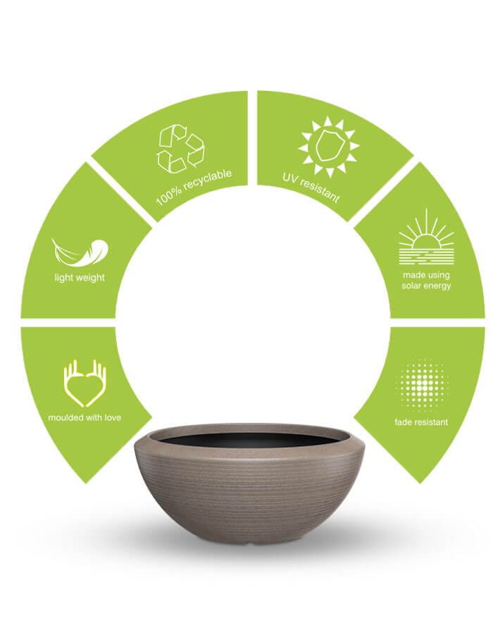 Sereno planters Bassa