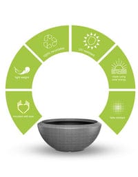 Sereno planters Bassa