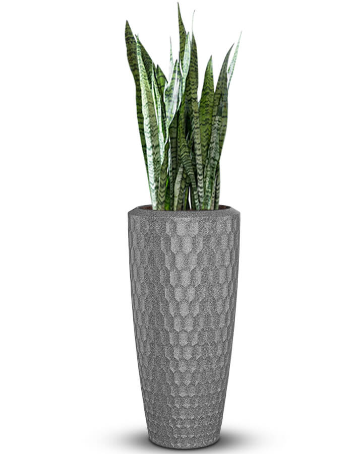 Sereno planters Chiara
