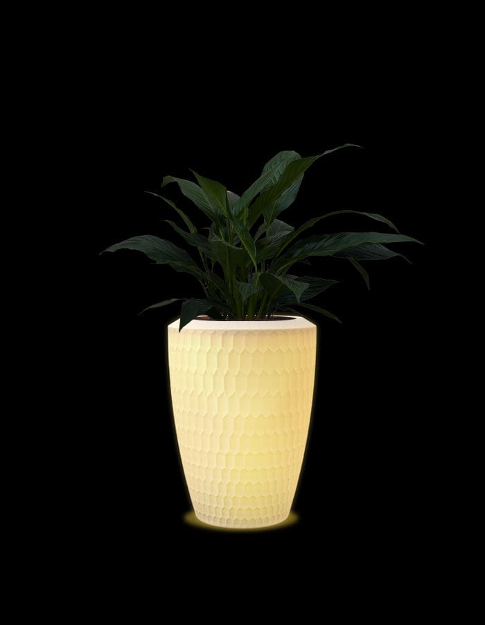 Sereno planters Chiara LED Planter