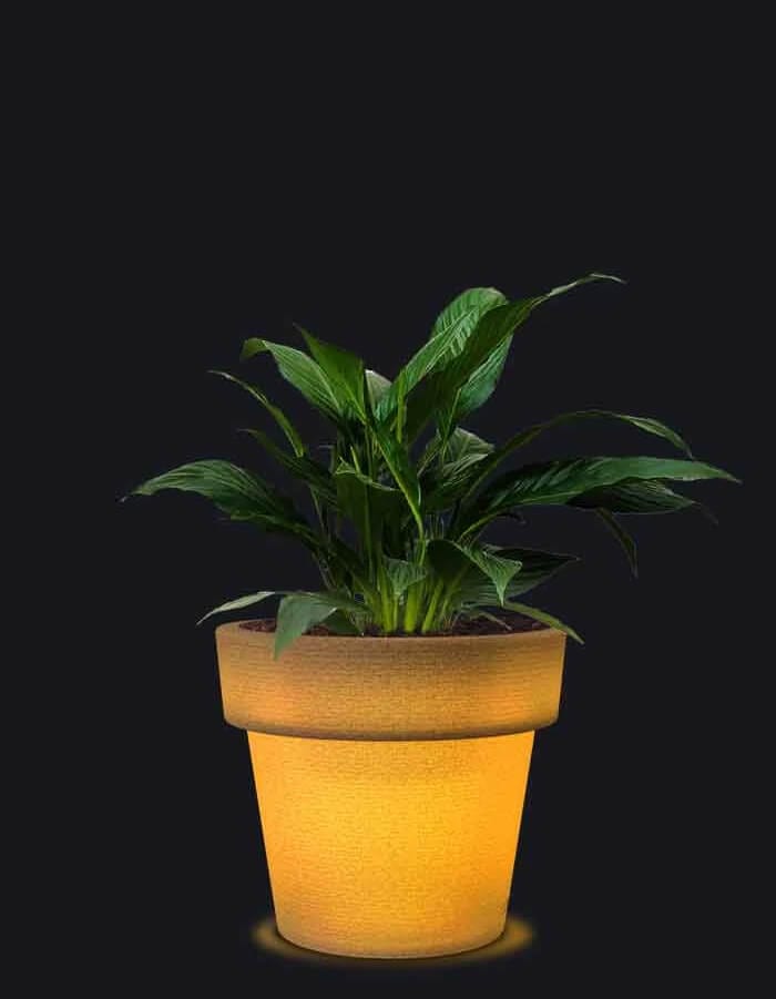 Sereno planters Eloisa LED Planter