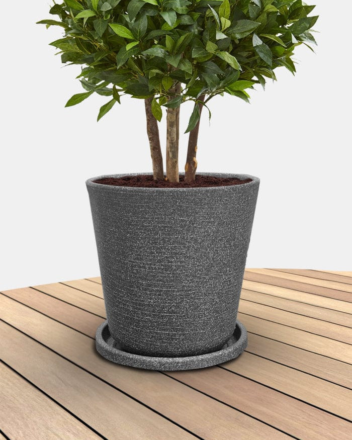 Sereno planters Tray Round Bottom Tray