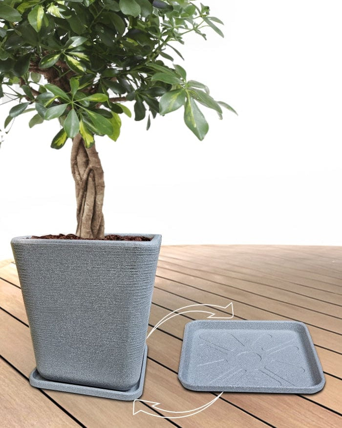 serenodelhi planters Tray Square Bottom Tray