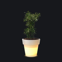 Eloisa Small Planter LED