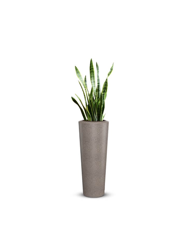 Gioia Large Planter