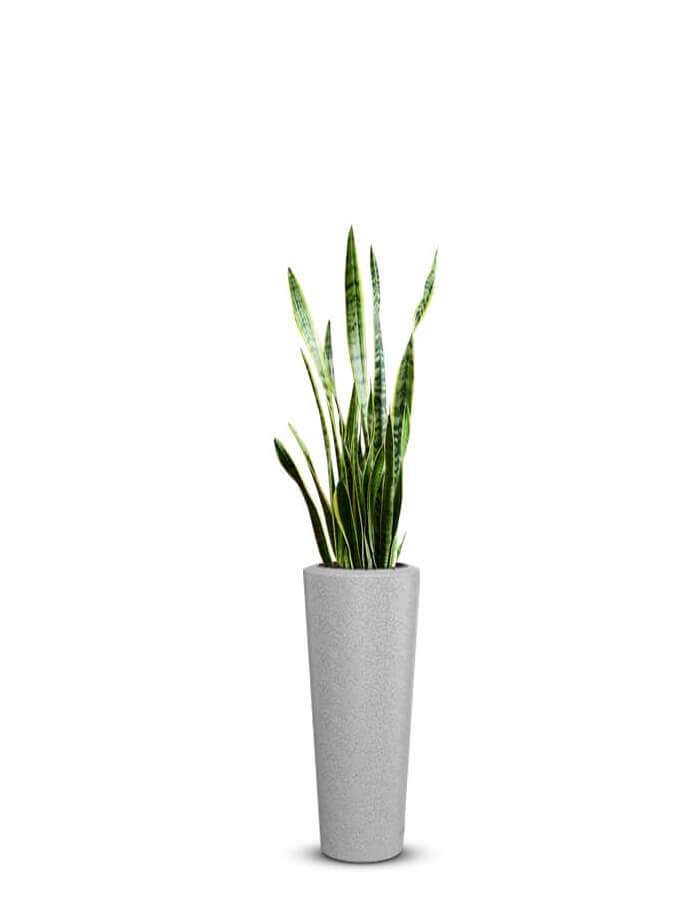 Gioia Large Planter