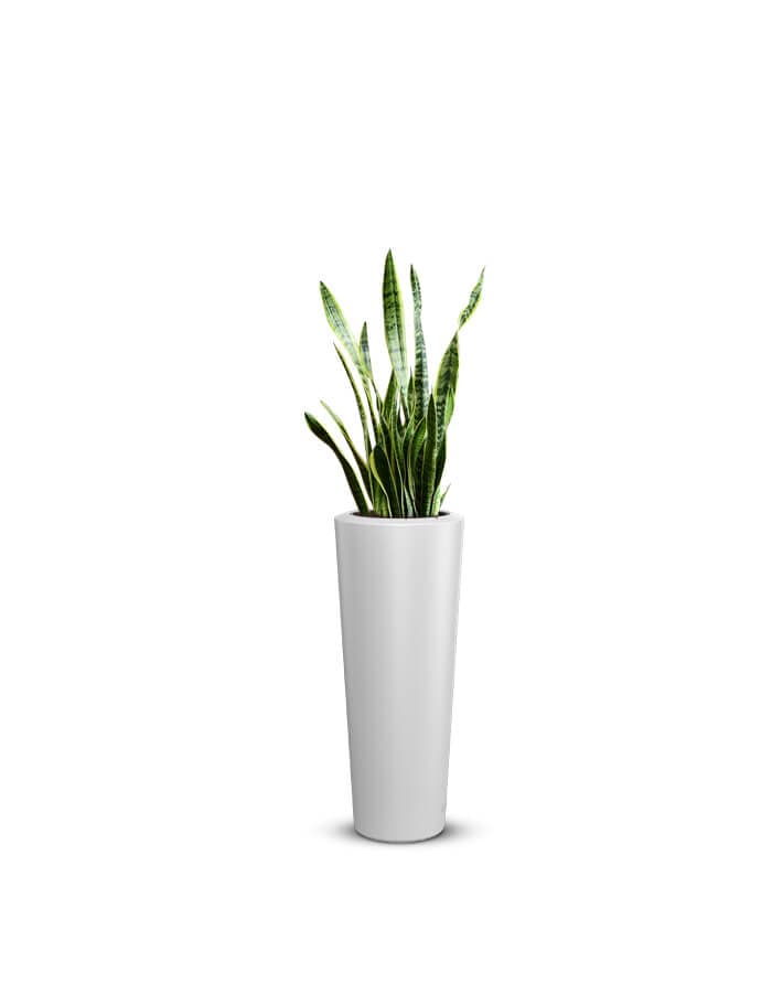 Gioia Large Planter