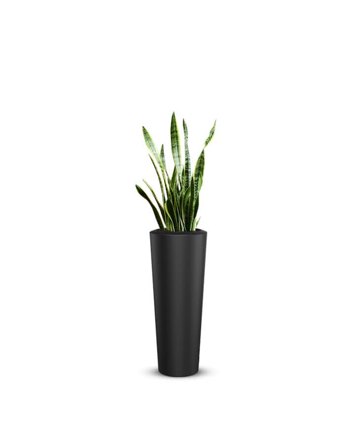 Gioia Large Planter