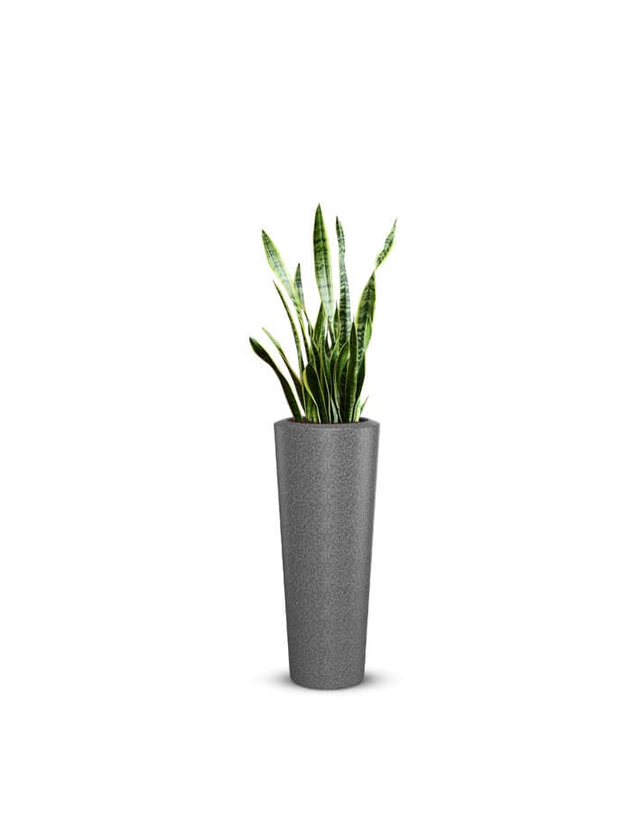 Gioia Large Planter
