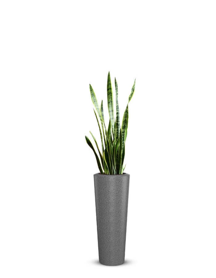 Gioia Large Planter