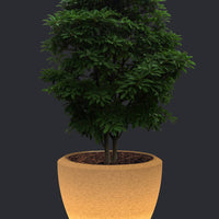 Piatto LED Extra Large Planter
