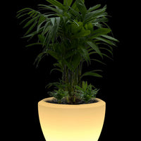 Piatto Large LED Planter