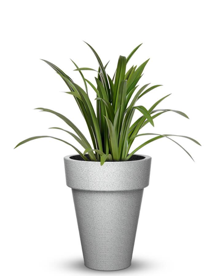 serenodelhi planters Elena Medium Planter