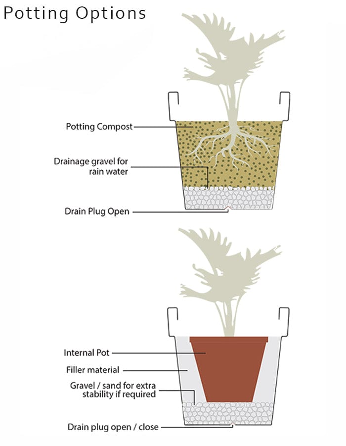 serenodelhi planters Eloisa Small Planter