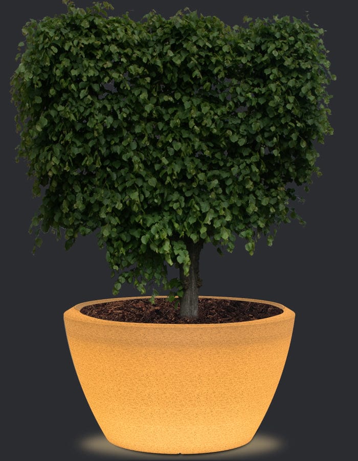 serenodelhi planters Extra Large / D114 X H90cm / Exotic White LED Piatto LED Extra Large Planter