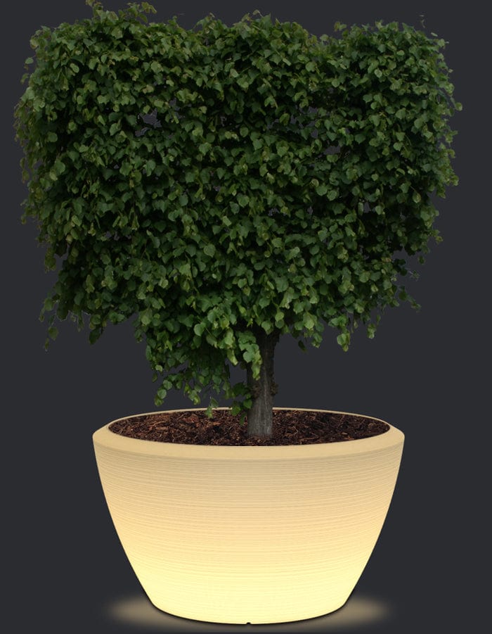 serenodelhi planters Extra Large / D114 X H90cm / Translucent White LED Piatto LED Extra Large Planter