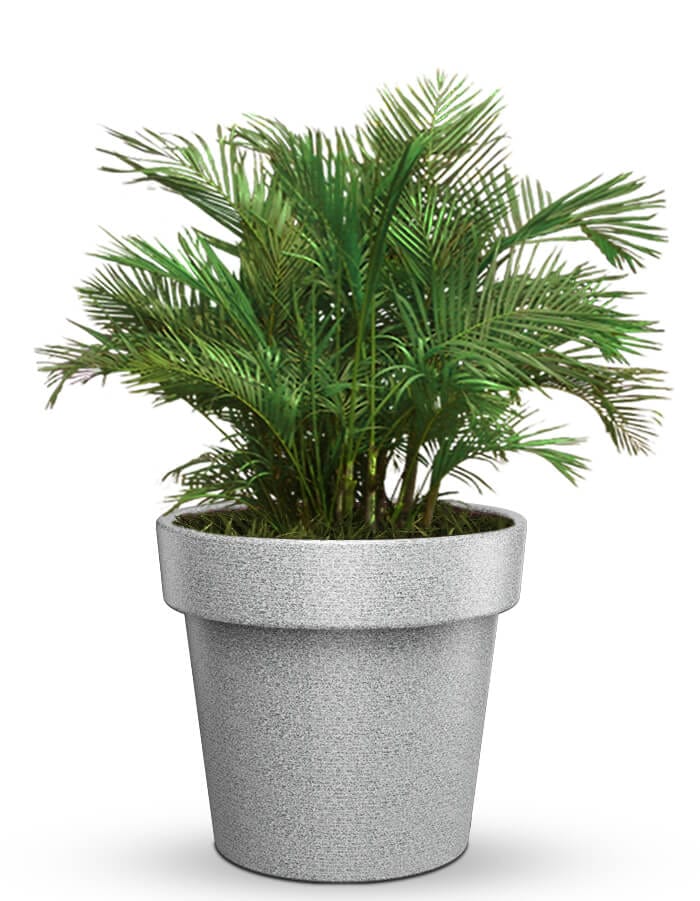 serenodelhi planters Large / D100 X H90cm / Milano Grey Eloisa Large Planter