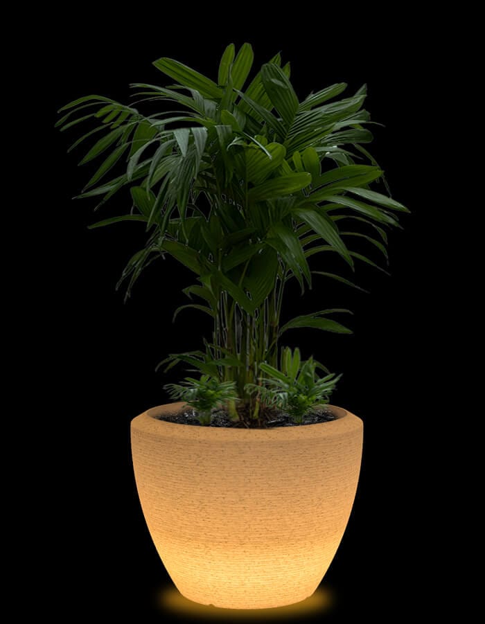 serenodelhi planters Large / D75 X H60cm / Exotic White LED Piatto Large LED Planter