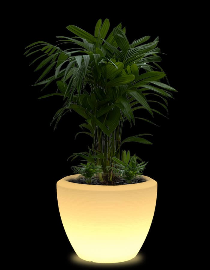 serenodelhi planters Large / D75 X H60cm / Translucent White LED Piatto Large LED Planter