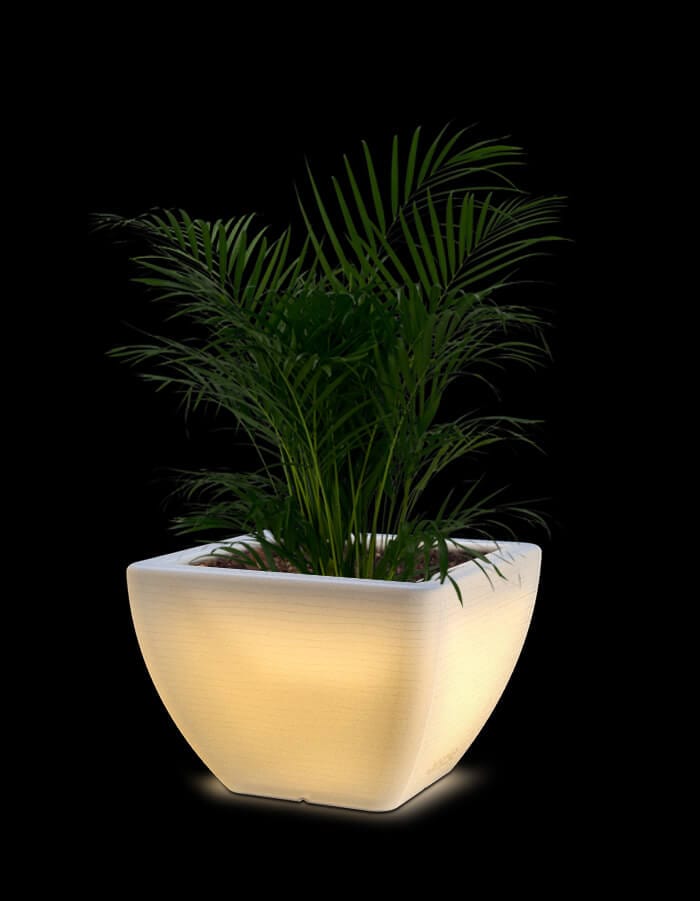 serenodelhi planters Orabella Medium LED Planter