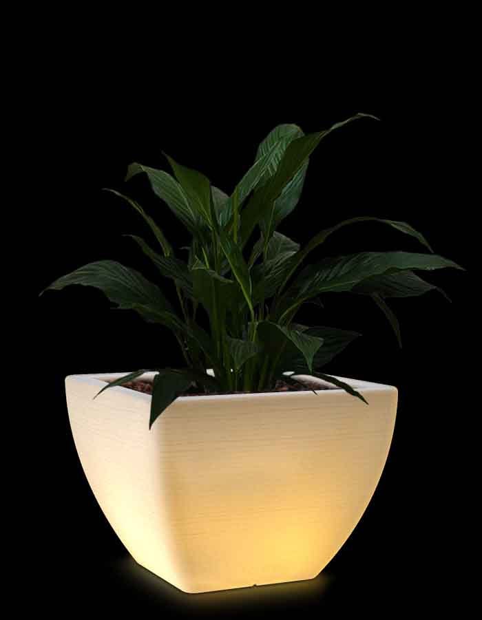 serenodelhi planters Orabella Medium LED Planter