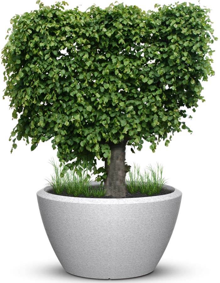 serenodelhi planters Piatto LED Extra Large Planter