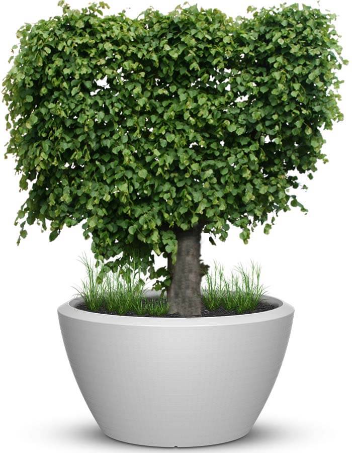 serenodelhi planters Piatto LED Extra Large Planter