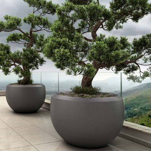 Large Planters