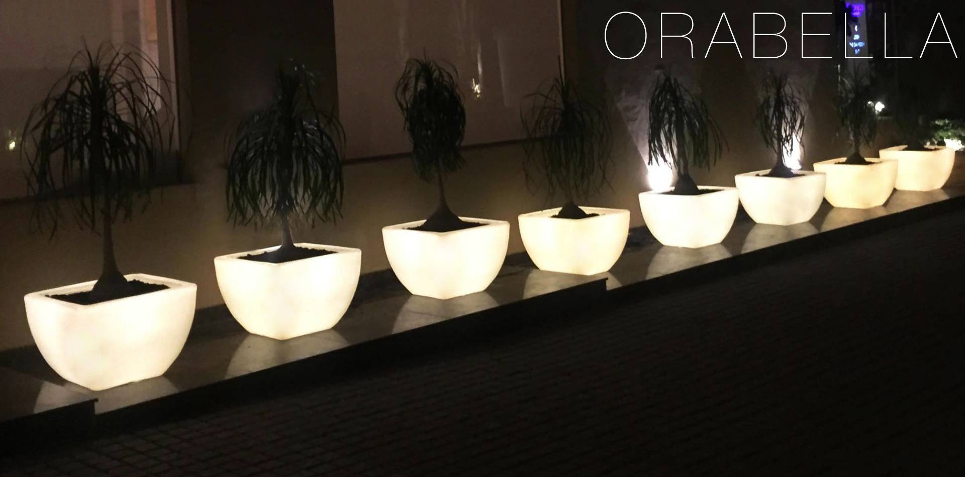 Small LED Planter