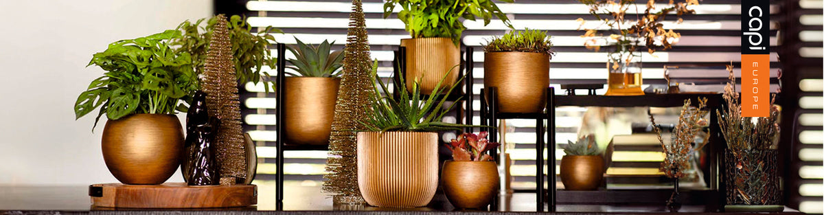 Buy Table Top Planters Online – Stylish Indoor Planters