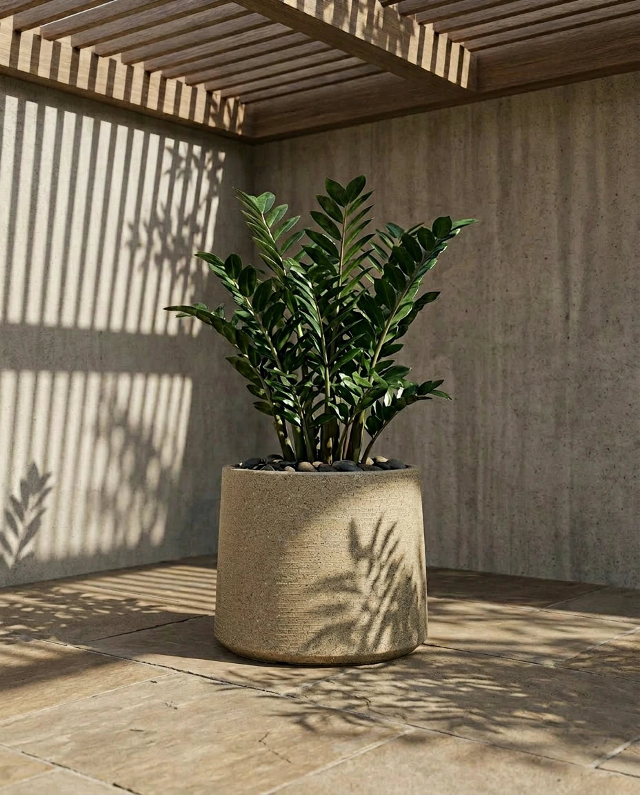 Albero Wide Planter