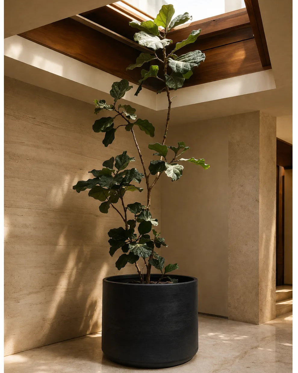 Potted plant in a modern indoor setting with a skylight