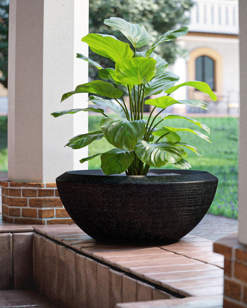Bassa 6125 Lava Black