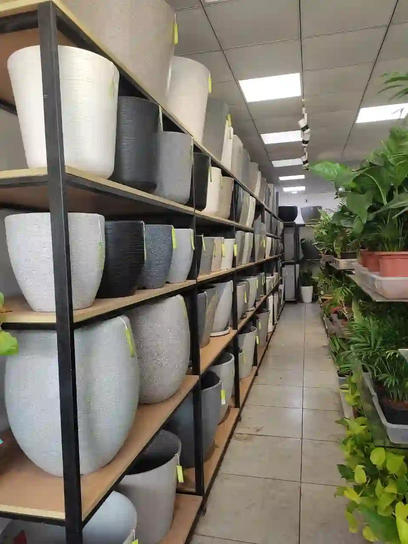 GARDEN BOUTIQUE PLANTS AND PLANTERS