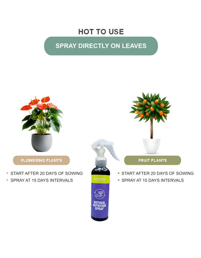 Natural Plant Nutrition Spray