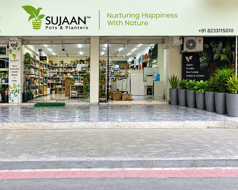 Sujaan Pots & Planters