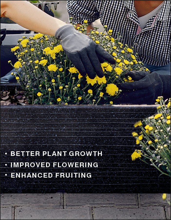 Sereno Accessories 5Kg Pot And Bloom Organic Pot Mix I Pack of 5 Kg