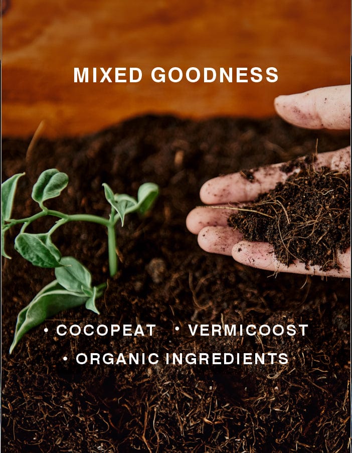 Sereno Accessories 5Kg Pot And Bloom Organic Pot Mix I Pack of 5 Kg