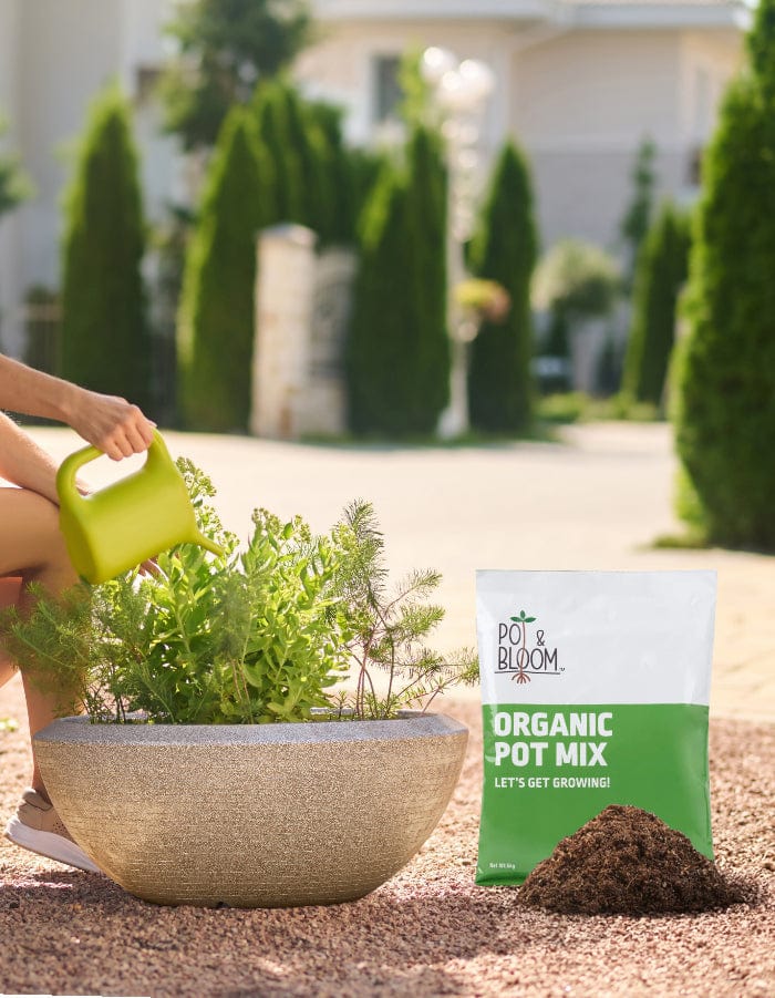 Sereno Accessories 5Kg Pot And Bloom Organic Pot Mix I Pack of 5 Kg