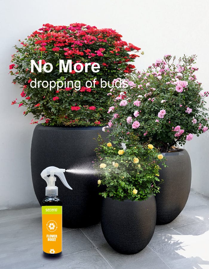 Sereno Accessories Flower Boost Spray