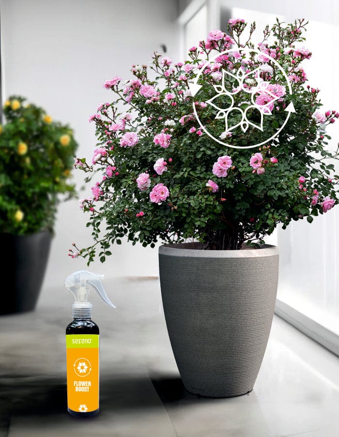 Sereno Accessories Flower Boost Spray
