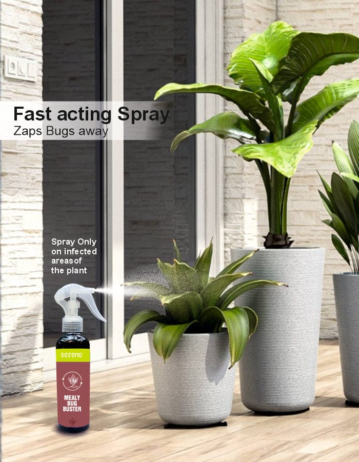 Sereno Accessories Mealy Bug Buster Spray