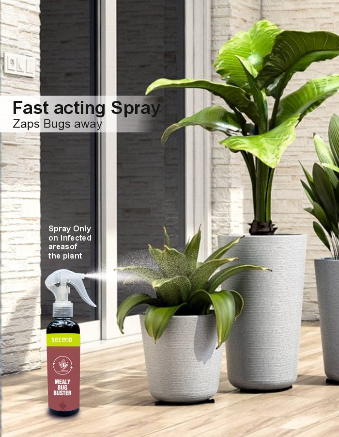 Sereno Accessories Mealy Bug Buster Spray